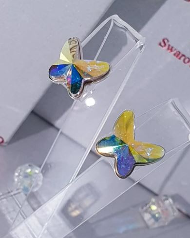 Butterfly 1